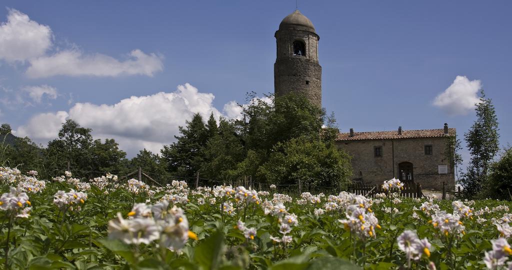 리치아나 나르디 Montagna Verde 빌라 외부 사진